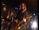 The Inspector Cluzo - The French Bastards - 【 Live @ Eurosonic Festival 】