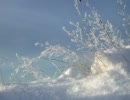 Little Snow - Arrange ver.