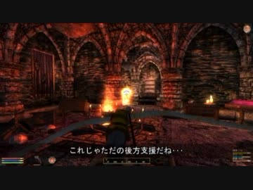 Oblivion　食いしん坊セリアンの旅日記　Part22
