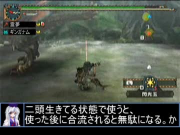 【東方】迷い込んでポッケ村　第四十一話・狩猟中編【ＭＨ】