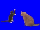 催眠術師BB.mp4