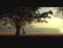 (hong kong boys love) AMPHETAMINE (4)