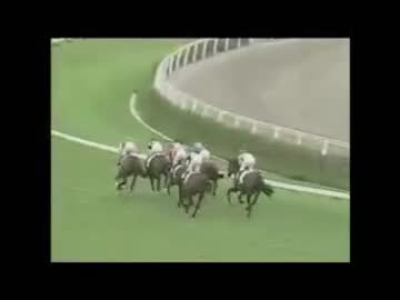 G1馬の新馬戦（その１）