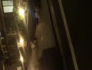 クリスマスの夜～猫編～