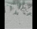 音ゲーｋｓｋ合作【音ゲーMAD】