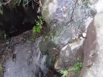 キャンプにも使えるサバイバルの知識　水編