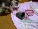 やっちゃったｗ