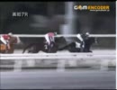 高知競馬第０R 素人指数特別？その２【ナマケット３番組内より】