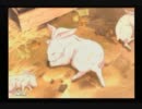 【盆】消えた記憶を探しに05【白中探検部】