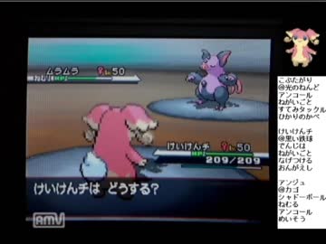 ポケモンbw 種族統一大会bブロック タブンネ統一vsブーピッグ統一 Nicozon