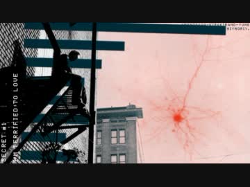 amanogawa-kirakirano-yume