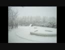 【オリジナル曲】雪の降る12月に。