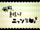 【あおぎり×：(ｺﾛﾝ)♂】嗚呼、素晴らしきニャン生【歌ってみた】