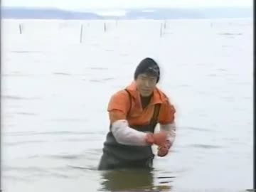 シジミホマミキサー