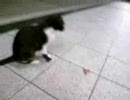 ﾌﾋﾋ…男便所に勝手に入って来て…どうなってもしらないぜ…