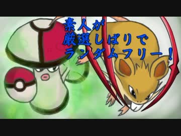 【ポケモンBW】素人が厳選縛りでランダムフリー！　part3