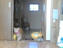 お持ち帰り練習中
