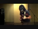 【gorilla】骸Attack!!を津軽三味線で邪魔してごめんなさい【三味線】