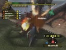 【MHF】火竜のなわばり【2ラスタ】