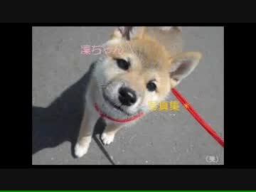 凜まとめ