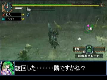 【東方】迷い込んでポッケ村　番外編１５・狩猟前編【ＭＨ】