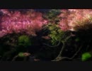 [アクアリウム]A水槽リセット&立ち上げ　part3　Full HD