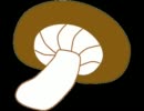 セクシーオールナイト