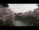 弘前さくらまつり～２０１１年４月～