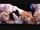 Henry Dagg - Over the Rainbow & Dambusters March 【Jools Holland's Hootenanny 2010】