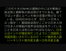 NHK＜スパイ謀略機関反日紅白韓流紅白.mp4
