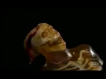 【グロ】騎士の武器の破壊力を図ってみたよ【注意】