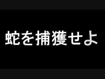 懸賞金1万円の蛇を捕まえに行ってきた