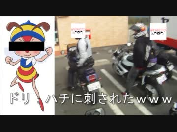 バイクわんちゃん～友達100人できるかな？Part35～