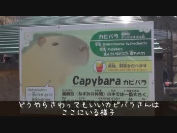 37歳から始める運転実績解除「市原ぞうの国に行こう」