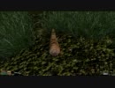 【Vvardenfellで】拳で語るMorrowind　Part02【武者修行】