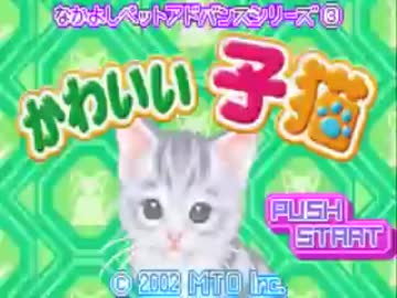 かわいい子猫にインテル入ってる