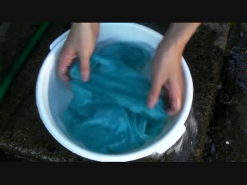 藍（タデアイ）で生葉染め