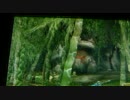 【MHP3】夜の渓流で発見！謎の影