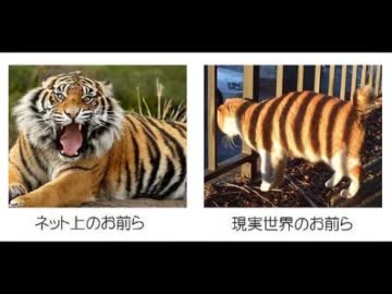 【ニコラップ】罰ゲーム【トラック提供】