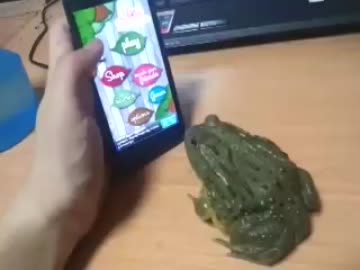 【カエル】スマートフォン が大好きです！