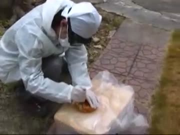 新年あけましてシュールストレミング