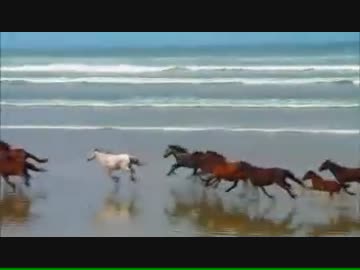 動画うｐテスト：自然