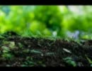 【初投稿です】rain stops, good-byeを下手ながら歌ってみました