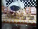 霊雅＆幽雅　UFOキャッチャー動画９　にゃんこ先生フィギア×３