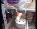 霊雅＆幽雅　UFOキャッチャー動画１０　５個取り編集動画