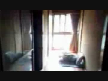 携帯に映り込んだ緑の髪の女性。。。