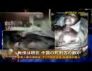 韓国人の正体 - 臓器狩り