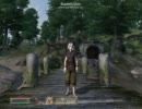 TES4：ReplayFile001
