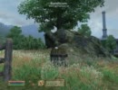 TES4：ReplayFile002