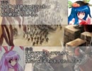 【三国志11】　第二次こま大三国志　19話